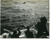 Fotografia dum pescador no seu dóri durante a sua atividade da pesca do bacalhau