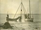 Fotografia dum grupo de bate-estacas na Ria de Aveiro