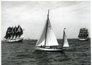 Fotografia da Regata Internacional Lisboa-Bermudas, que contou com a participação de doze países e os seus respetivos veleiros, tendo Portugal também participado com o navio-escola Sagres