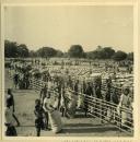 Société Colonial Luso-Luxembourgeoise - Moçambique