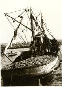Fotografia de uma traineira entrando na doca do porto de pesca de Peniche para descarregar o peixe pescado