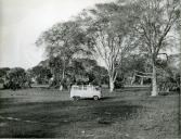 Fotografia de Américo Tomás observando a paisagem africana no Parque Nacional da Gorongosa, por ocasião da visita de estado efetuada a Moçambique