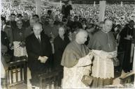 Sem título