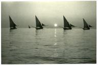 Fotografia de diversas embarcações de pesca