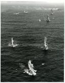 Fotografia da Regata Internacional Lisboa-Bermudas, que contou com a participação de doze países e os seus respetivos veleiros, tendo Portugal também participado com o navio-escola Sagres
