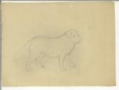 Desenho