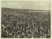 Alguns aspectos da Viagem Presidencial às colónias de Cabo Verde, Moçambique e Angola e da visita do Chefe do Estado à União Sul Africana realizadas em Junho, Julho, Agosto e Setembro de 1939