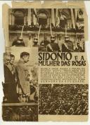 Sidónio e a Mulher das Rosas