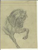 Desenho