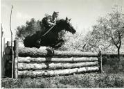 Fotografia de cavaleiro, por ocasião da Semana Equestre Militar, no Centro Militar de Educação Física, Equitação e Desportos, em Mafra.