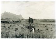 Fotografia de um posto agronómico de Ribáuè