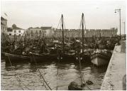 Fotografia de um grupo de embarcações de pesca na doca do porto de Peniche