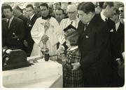Sem título