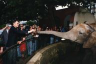 Visita ao Zoo