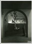 Festas Centenárias 1940: iluminações ERL