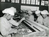 Fotografia de funcionárias de uma fábrica de tomate na província do Limpopo, por ocasião da visita de estado efetuada por Américo Tomás a Moçambique