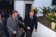 Sem título