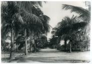 Fotografia de um trecho de uma estrada em Moma