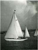 Fotografia duma prova náutica realizada no rio Tejo