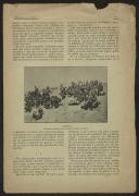 Revista de Lisboa