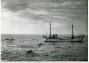 Fotografia dum grupo de pescadores a bordo dos seus dóris na pesca de bacalhau à linha junto do navio-mãe “Terra Nova” nas águas geladas da Terra Nova