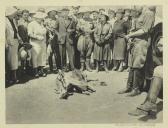 Alguns aspectos da Viagem Presidencial às colónias de São Tomé e Príncipe e Angola realizada nos meses de Julho e agosto de 1938 - Volume II