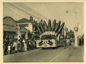Anexo ao álbum da Viagem Presidencial à África em 1939 - cortejo alegórico - festival nocturno - iluminações em Lourenço Marques