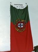 Sem título
