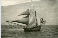 Fotografia duma embarcação portuguesa de pesca