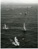 Fotografia da Regata Internacional Lisboa-Bermudas, que contou com a participação de doze países e os seus respetivos veleiros, tendo Portugal também participado com o navio-escola Sagres