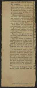 Provérbios e anexins