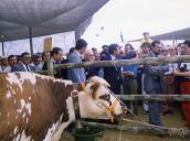 Casa Agrícola da Rosada