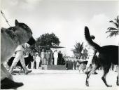 Fotografia de Américo Tomás acompanhado por António Augusto Peixoto Correia na cidade da Beira, durante a visita de estado efetuada a Moçambique