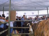 Casa Agrícola da Rosada