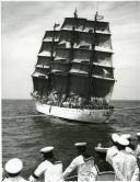 Fotografia da Regata Internacional Lisboa-Bermudas, que contou com a participação de doze países e os seus respetivos veleiros, tendo Portugal também participado com o navio-escola Sagres