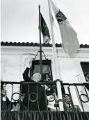 Sem título