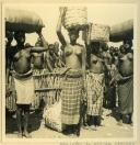 Société Colonial Luso-Luxembourgeoise - Moçambique