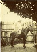 Fotografia de António José de Almeida.
