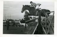 Fotografia de António de Spínola, montando a égua Antje, durante uma prova de hipismo