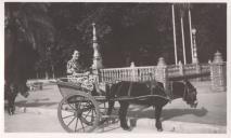 Fotografia de Maria Helena Martin Monteiro de Barros durante uma visita a Almeria