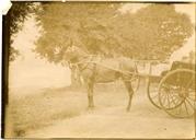 Fotografia de António José de Almeida em São Tomé