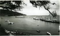 Bilhete-postal ilustrado com a fotografia do paquete “Vera Cruz”, ancorado na baía do Funchal