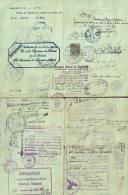 Passaporte de missão especial passado a António de Spínola, pelo Ministério do Interior