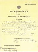 Certificado de habilitação do 1º grau de instrução primária, atribuído a António de Spínola